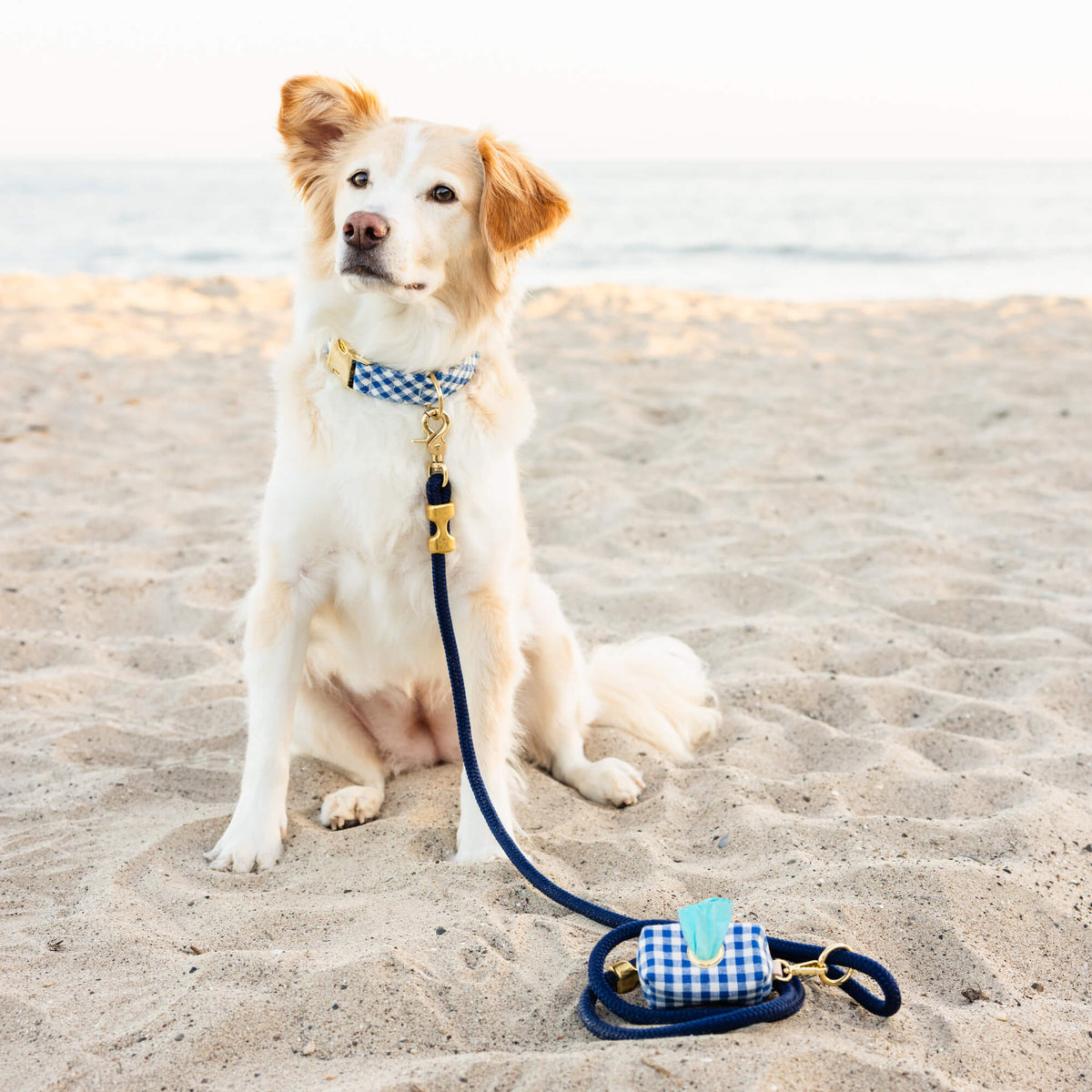 Lake Blue Gingham Collar Walk Set