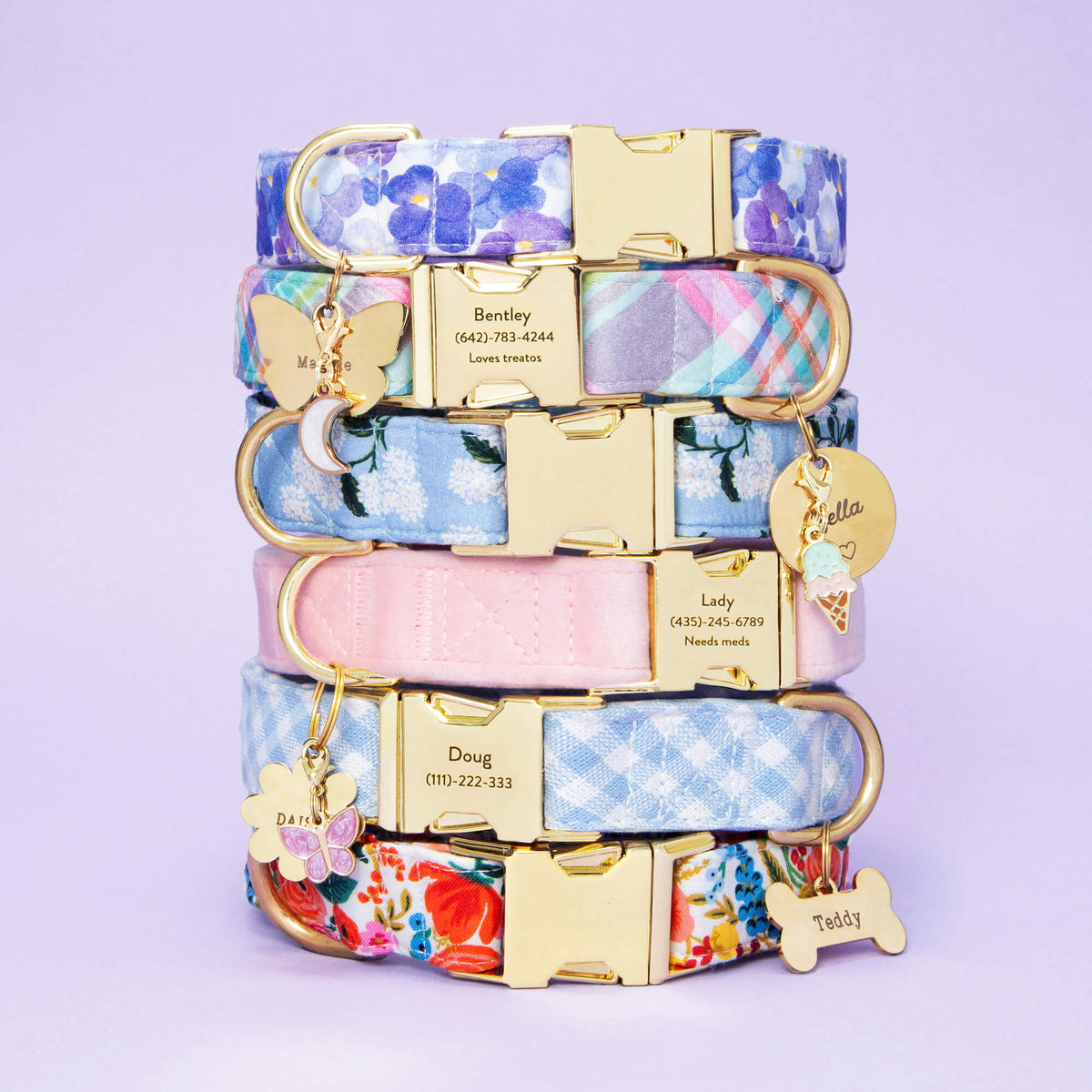 Butterfly Collar Charm