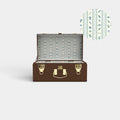 Mini Trunk - Dog Days