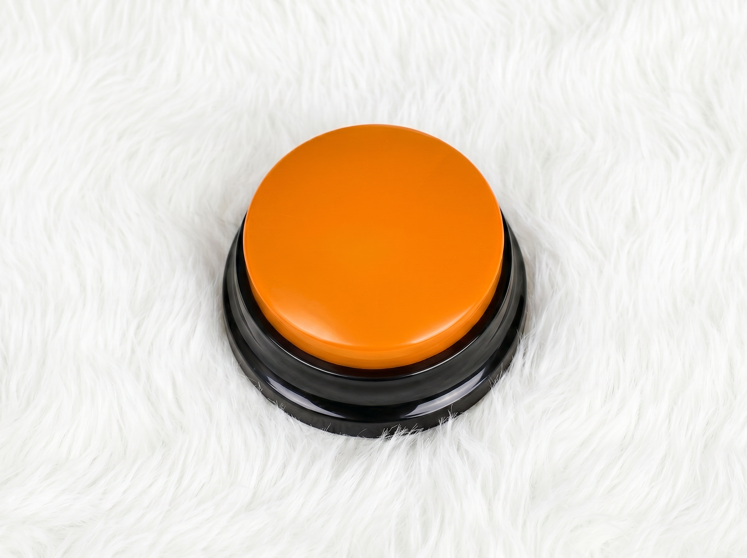 PawTalk™ | Recordable Buttons to Talk with Your Dog