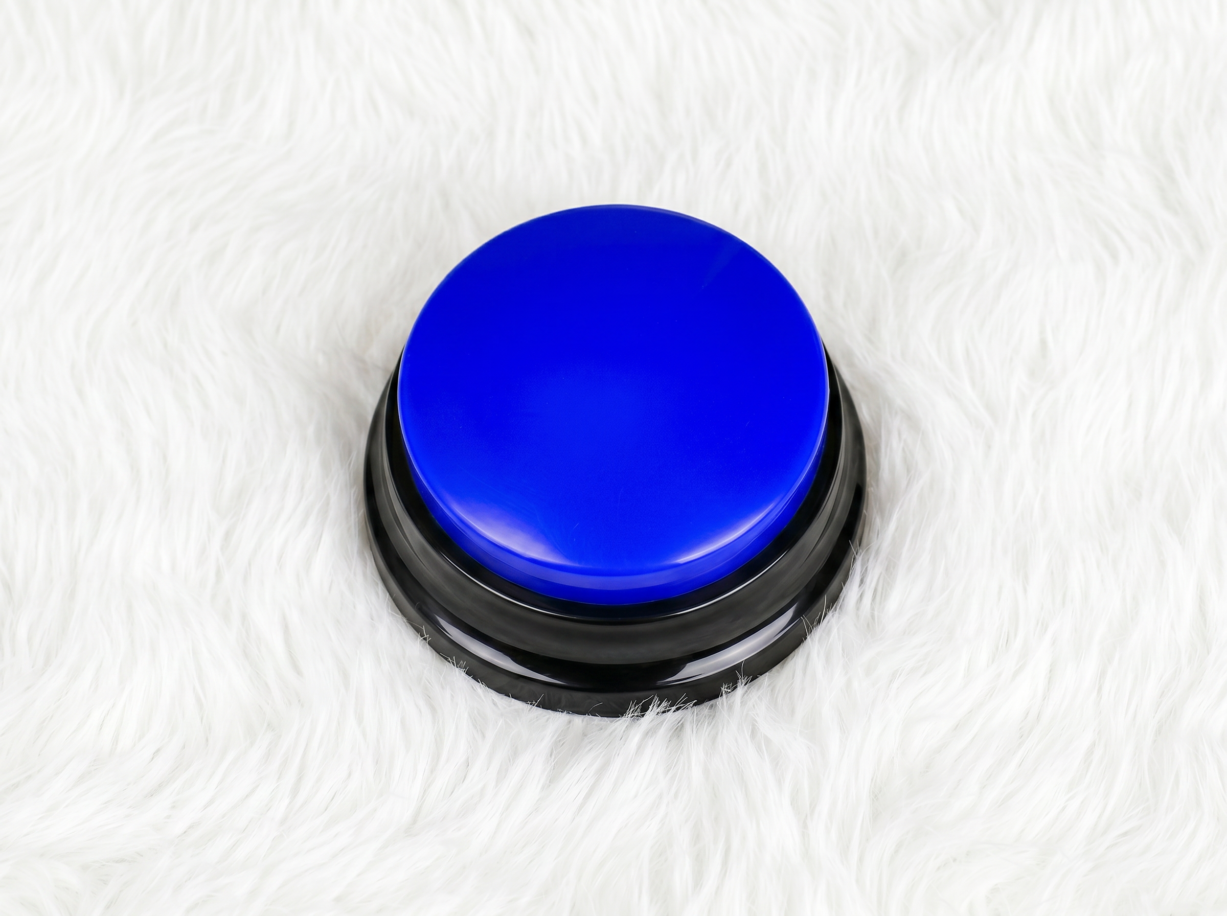 PawTalk™ | Recordable Buttons to Talk with Your Dog