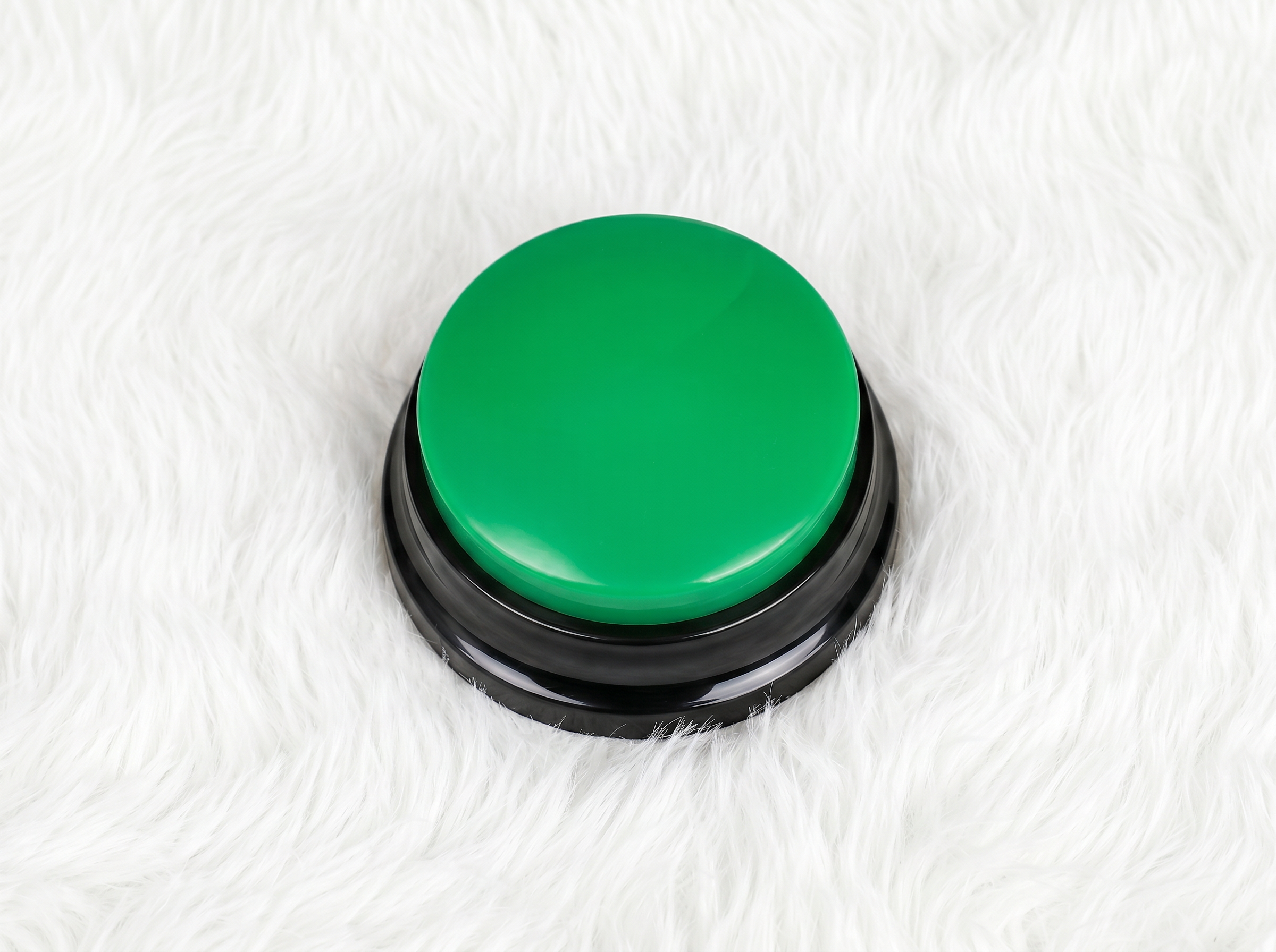 PawTalk™ | Recordable Buttons to Talk with Your Dog