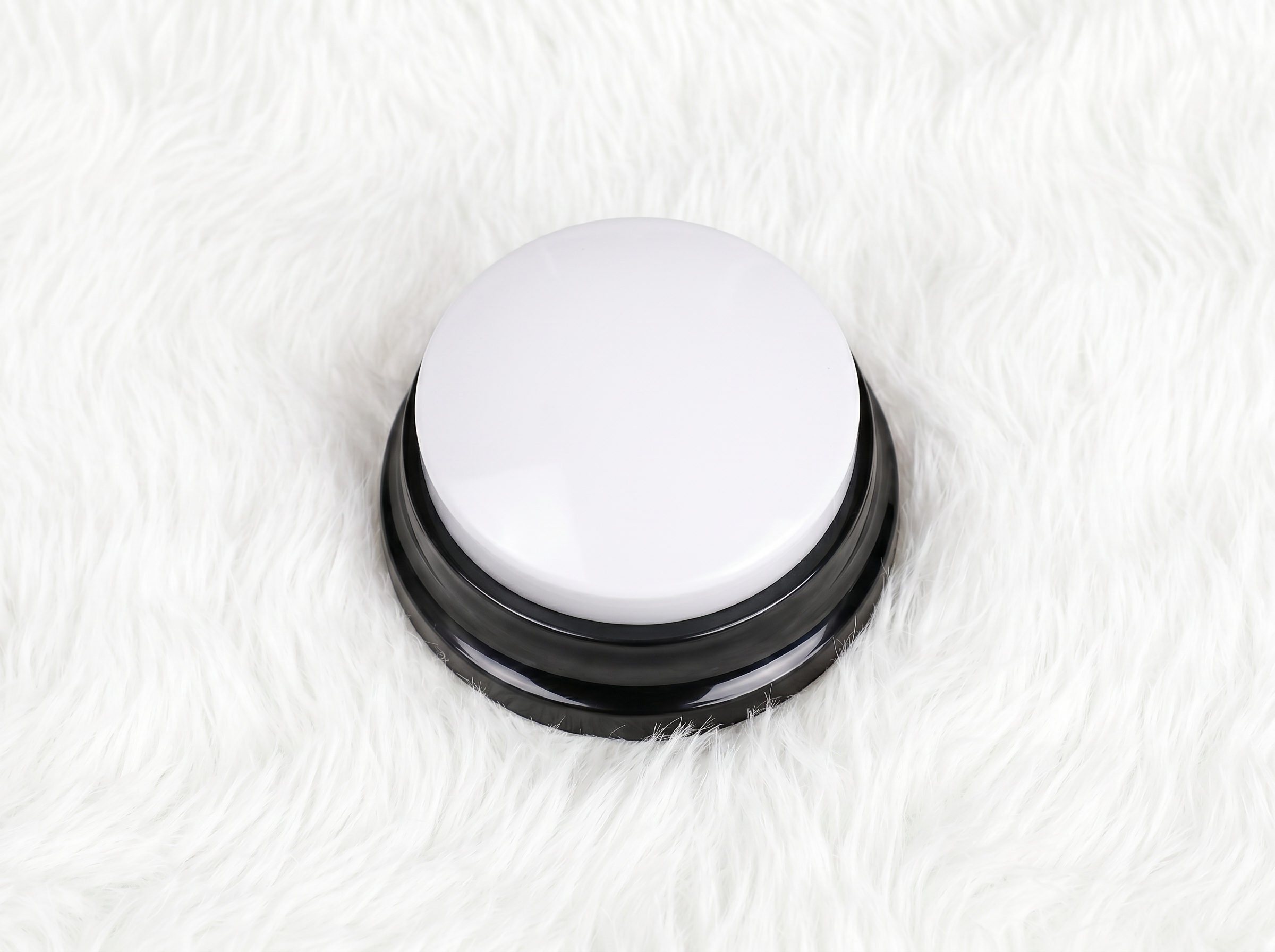 PawTalk™ | Recordable Buttons to Talk with Your Dog