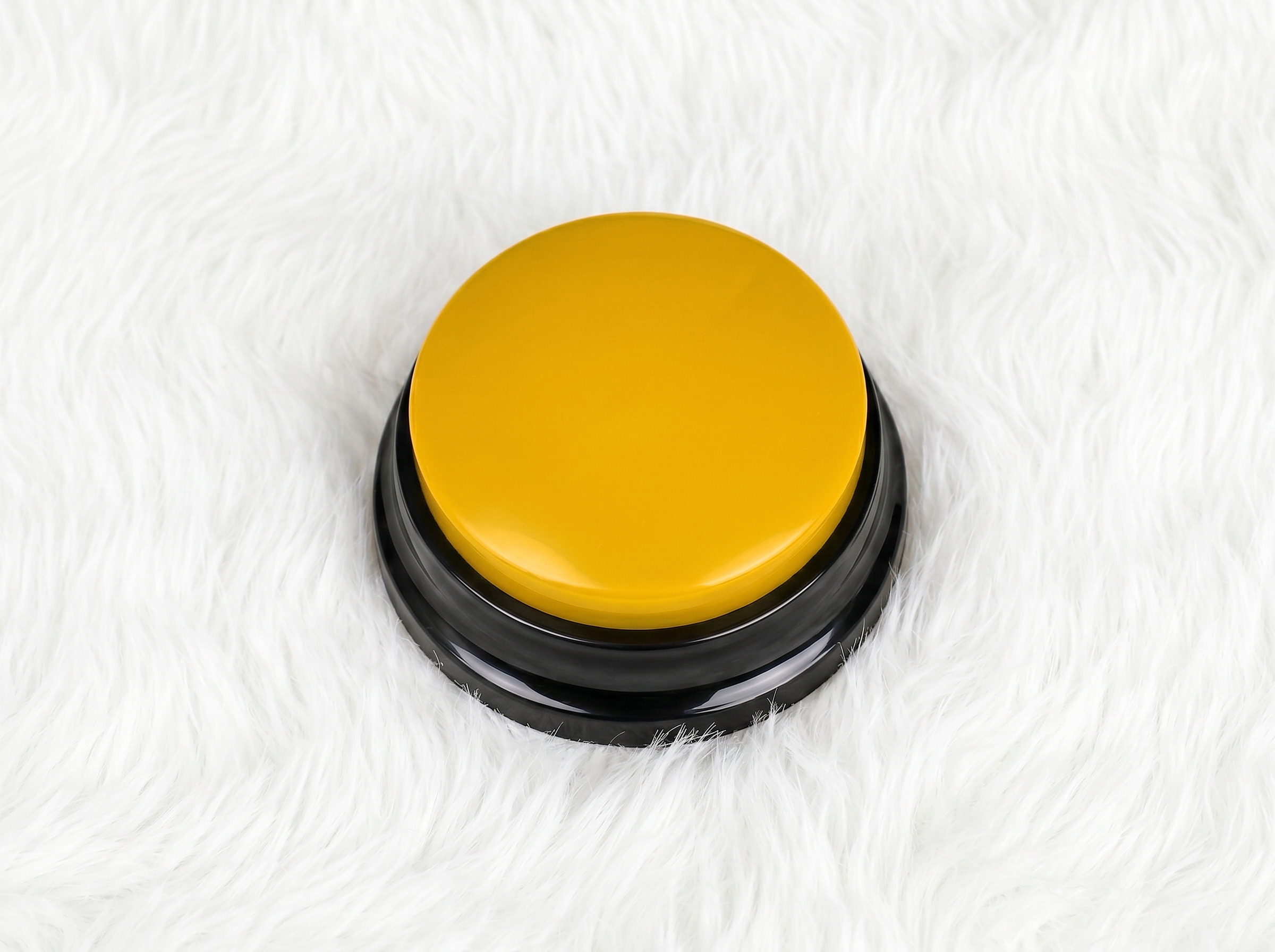 PawTalk™ | Recordable Buttons to Talk with Your Dog