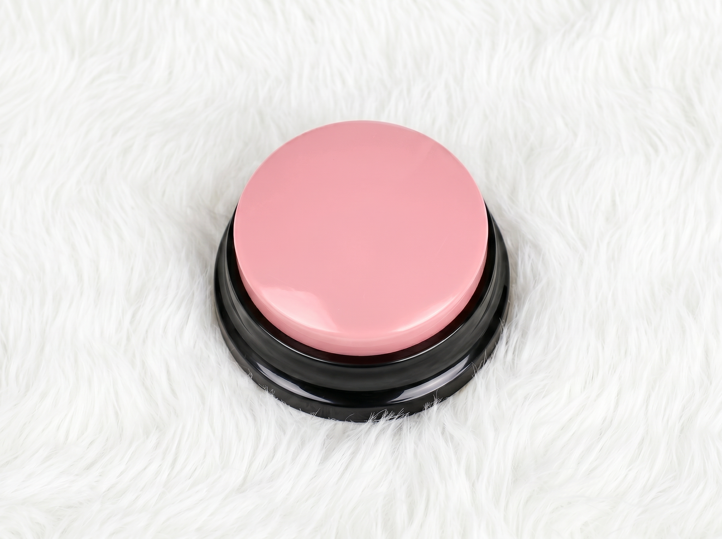 PawTalk™ | Recordable Buttons to Talk with Your Dog