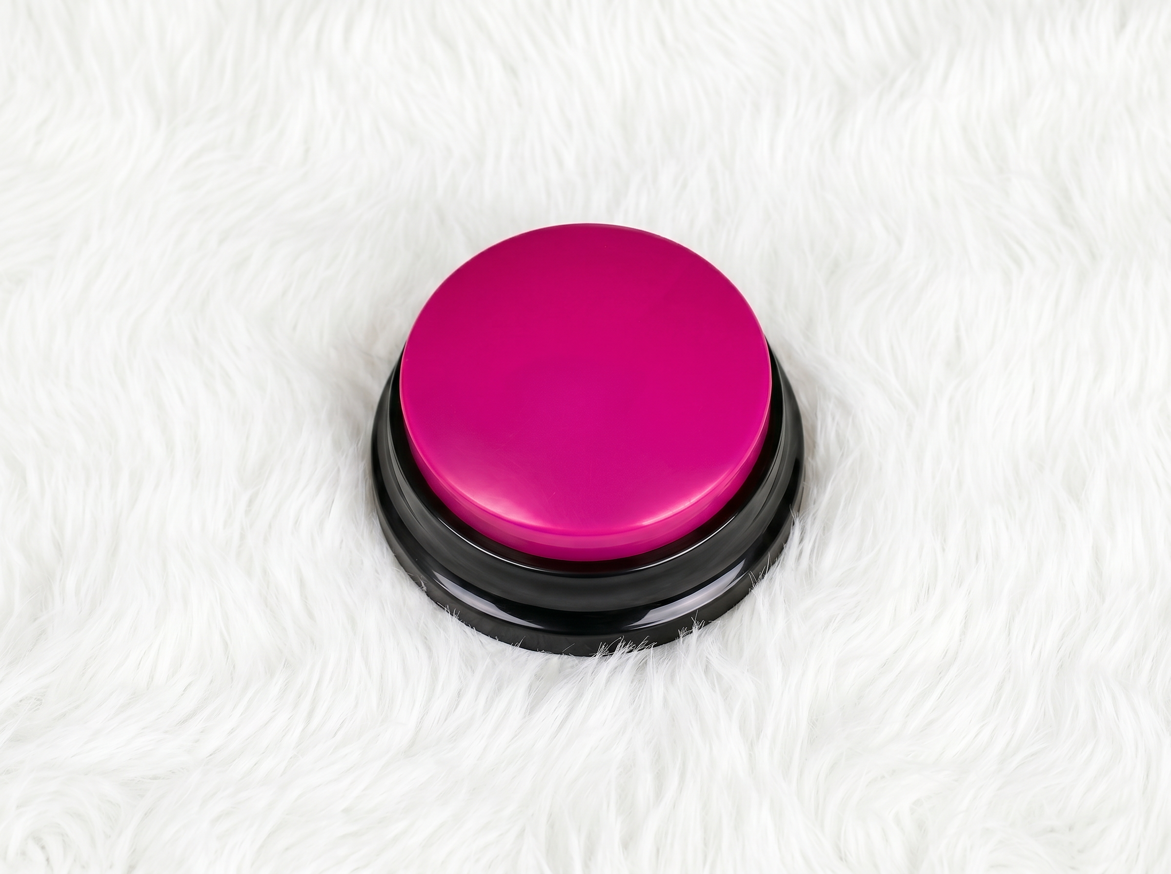 PawTalk™ | Recordable Buttons to Talk with Your Dog