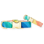 Over the Rainbow Dog Collar