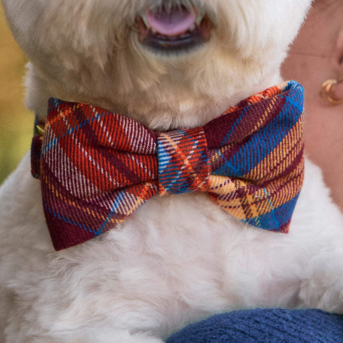 Marlow Plaid Flannel Bow Tie Collar