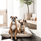 Ticking Stripe Dog Bed