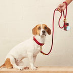 Wine Marine Rope Dog Leash